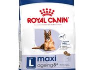 Royal Canin Maxi Ageing 8+ - Sparpaket: 2 x 15 kg