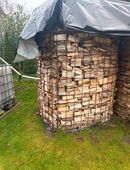 Brennholz Esche trocken und ofenfertig in 19217