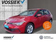 VW Golf, 1.0 TSI 8 Life, Jahr 2021 - Schweinfurt