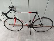 Coral Basso Rennrad 80iger Jahre **Rarität** Schwarz/Weiss/Rot **Anschauen** Unisex - Köln