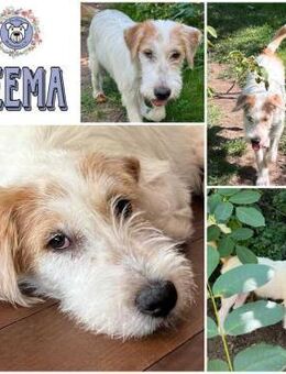 KEEMA * Lust auf Familienleben - Duisburg