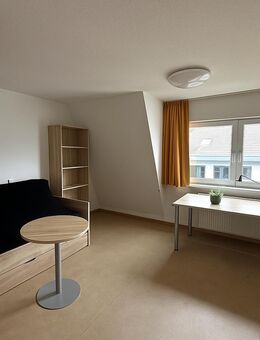 Gemütliche 1-Zimmer-Wohnung in Dresden-Neustadt zur Miete - Wentzel Dr. - Dresden