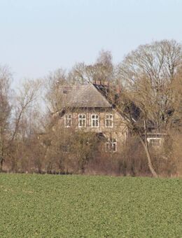 Herrschaftlich residieren - Denkmalgeschütztes Gutshaus in Mecklenburger Idylle - Boddin