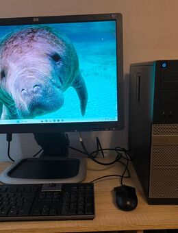 MARKEN PC DELL OPTIPLEX 390 CPU INTEL i5 8GB RAM Monitor HP - Frankfurt (Main)