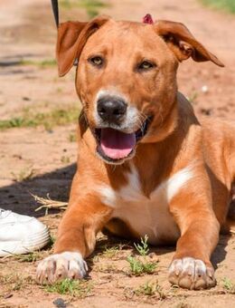 Maro warum wird er immer übersehen? - Laatzen