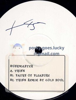 Bushmaster - Think 1997 Promo W Lbl Sti 12" Vinyl Drum n Bass - München Bogenhausen