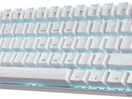 RK ROYAL KLUDGE RK61-DE 60% Mechanische Tastatur Bluetooth Kabel - Berlin Neukölln