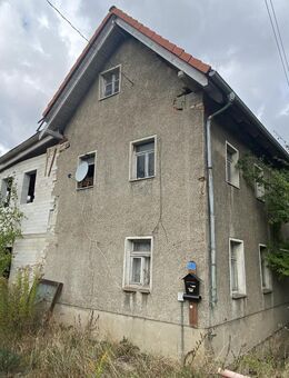 Hier können Sie sich verwirklichen - ca. 2.400 qm Grund - was gibt's da zu meckern? - Colditz
