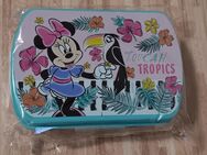 Minnie Mouse Brotdose Lunchbox - ca 20 x 8 cm - NEU - 4€* - Grebenau