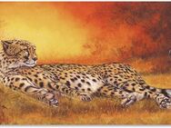 Artland Wandbild Gepard, Geparden Bilder (1 St), als Alubild, Outdoorbild, Leinwandbild, Poster, Wandaufkleber