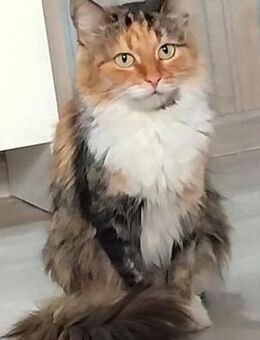 Eine Prinzessin sucht zu Hause - Stuttgart