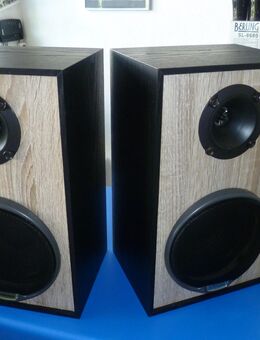 Hifi - Professional 2 Weg Hifi Lautsprecher Einzelstücke - Dübendorf