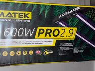 Lumatek 600 w pro 2.9 - Dortmund