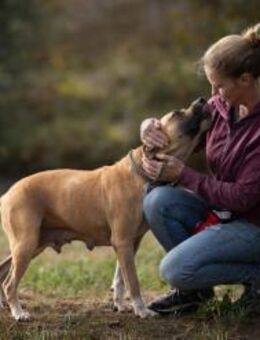 FRONI - einen Ort zum Wohlfühlen finden - Overath