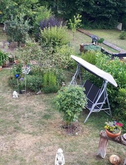 Ruhige Single-Wohnung in zentraler Lage mit Gartennutzung - Konz