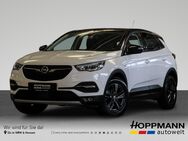 Opel Grandland X, 1.2 Design Line, Jahr 2021 - Siegen (Universitätsstadt)