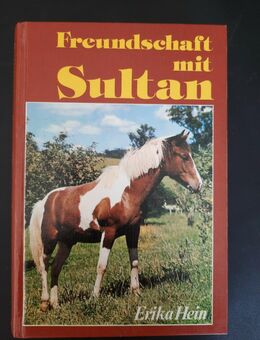 Freundschaft mit Sultan (Gebunden) - Essen