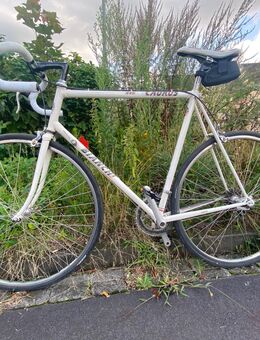 Rennrad Bianchi - Köln