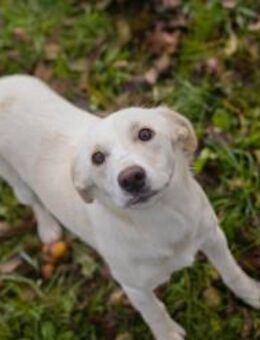 273670 - munter und freudig aktiv - Overath