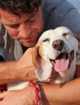 Dino wünscht sich Happy End 💚 - München