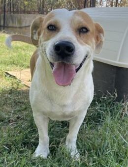 Christoph - ein liebenswertes Unikum - Krefeld