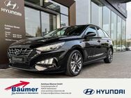 Hyundai i30 Kombi Trend 1.0 T-GDi Automatik + NAVI + CAM - Ibbenbüren