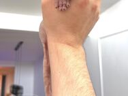 Canadian Sphynx mit Stammbaum noch 1.Frei - Ulm