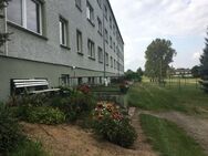*NEU* 4 Zimmer Wohnung mit Gemeinschaftsgarten - Apenburg-Winterfeld