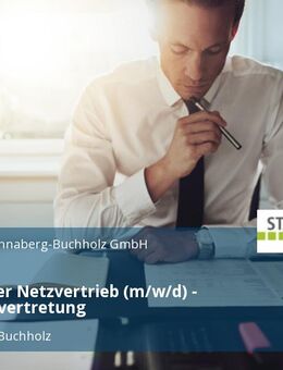 Mitarbeiter Netzvertrieb (m/w/d) - Elternzeitvertretung - Annaberg-Buchholz