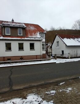 Zwei Häuser auf einem Grundstück in Bad Sachsa OT Steina - Bad Sachsa Zentrum