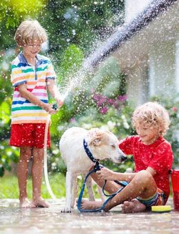Stadtvilla für die ganze Familie mit Hund und Katz - Birstein