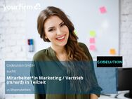 Mitarbeiter*in Marketing / Vertrieb (m/w/d) in Teilzeit - Rheinstetten