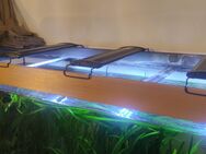 Aquarium Juwel 400l - Garstedt