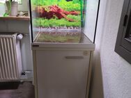 Eheim Aquarium 125 Liter mit Unterschrank Komplettset - Ebensfeld