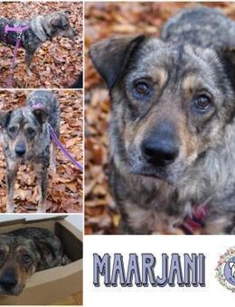 MAARJANIN * Charmante Persönlichkeit - Duisburg