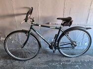 Giant X 1000 Herrenfahrrad grün 18gang 28zoll Reifen Rad Bike 55cm Rahmenhöhe - Essen