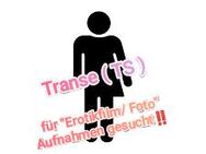 Suche Geile TS für "Amateurfilme" o. "Live Show" 💦 ( ab: +18/ ohne TG ) - Berlin