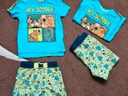 SET Scooby Doo Tshirt Shirt Hose Shorts Baumwolle 104 Junge Zwillinge Jungs Sommer - Haldensleben