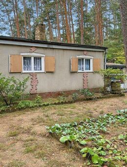 Grüne Idylle - Bungalow auf großem Grundstück von Wald umgeben in Borkheide - Borkheide