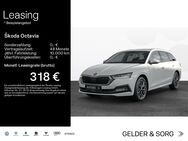 Skoda Octavia, 2.0 TDI Combi Style, Jahr 2024 - Haßfurt