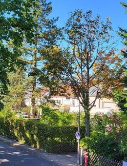 ** * Sofortbezug Frei: Schöne 3 Zi DG-WHG in kleinen MFH Haus in Erlangen / Buckenhof bei Spardorf, gemütlich und in sehr ruhigen in 30 km/h Lage - Buckenhof