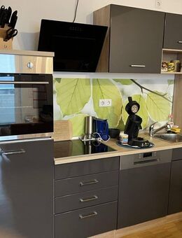 Gemütliche 1-Zimmer Wohnung mit Balkon nahe Stadtpark - Nürnberg