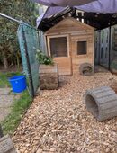 Hasen Kaninchen Zwergkaninchen Hühnerstall in 73765