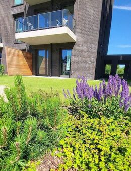 Terrassenwohnung direkt an der Schlei! - Schleswig