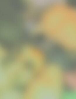 Fra*** - Neubrandenburg