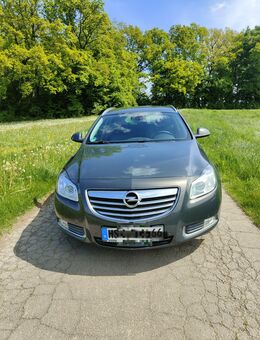 Opel Insignia A - Sundern (Sauerland)