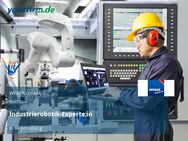 Industrierobotik-Experte:in - Regensburg