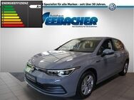 VW Golf VIII *Life* 2,0 TDi *Fahrschulausstattung*AHK*Navi*ACC* - Neuried (Baden-Württemberg)