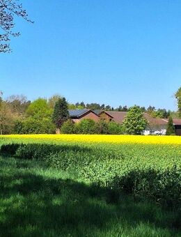 Großzügiges Landhaus mit Mietswohnung, Pferdehaltung und 40 kW-Photovoltaikanlage in traumhafter Alleinlage - Warmsen