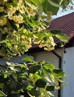 Ansbach/ Zweifam. Haus - Ansbach